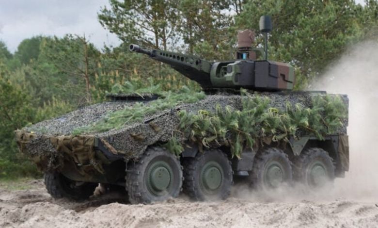 Hollanda boxer