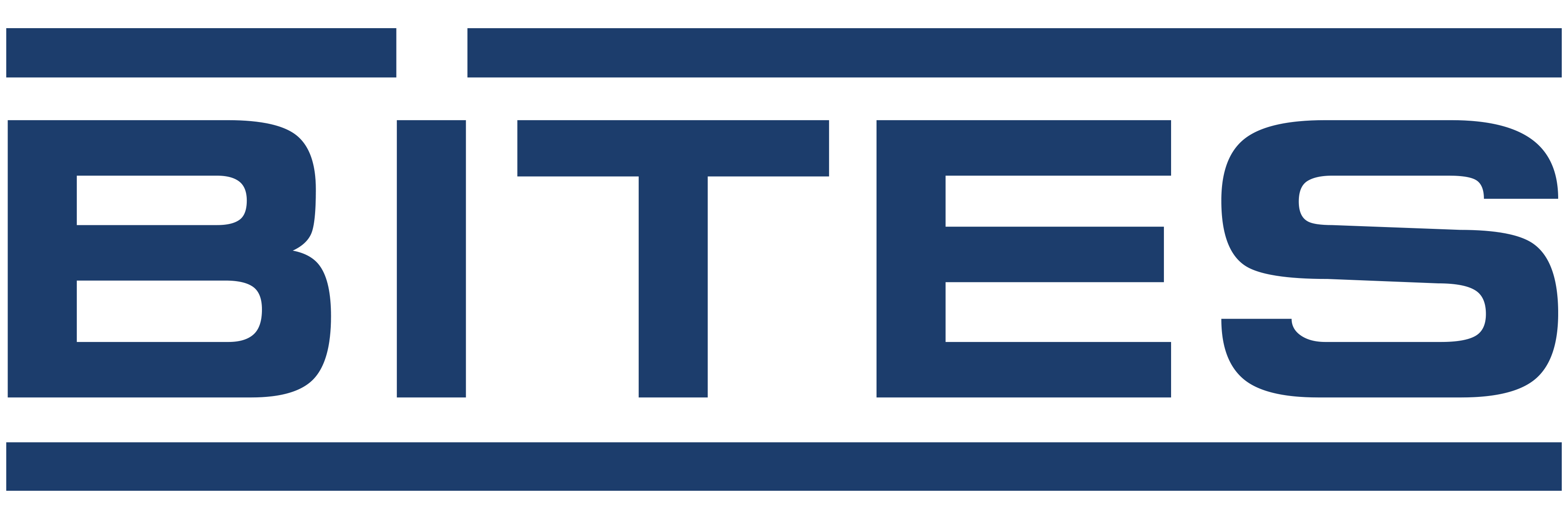 BiTES_LOGO_yuksek_kalite