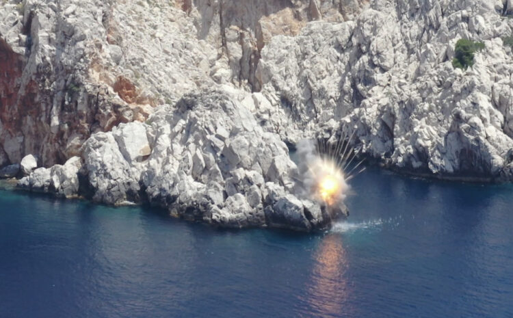ULAQ SİDA