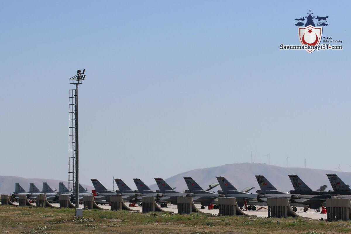 anadolu kartalı