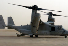 Osprey