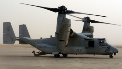 Osprey