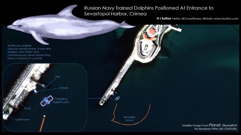 Rusya, Sivastopol Deniz Üssü'nü Yunus Balıklarıyla Koruyor