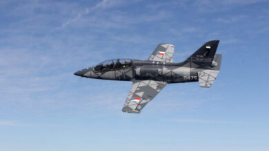 L-39NG