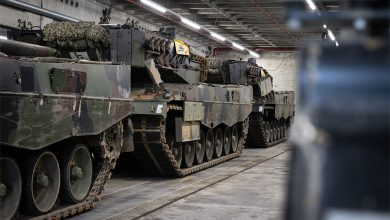 Alman-Renk-Leopard