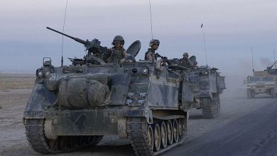 M113-ZMA