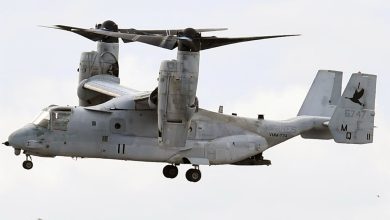 Osprey