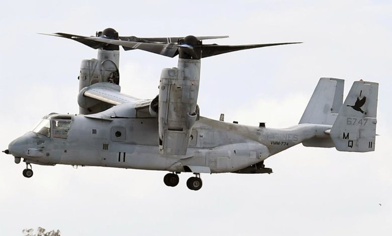 Osprey