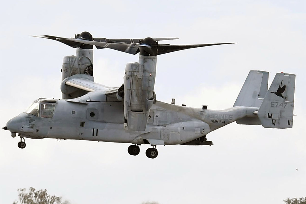 Osprey