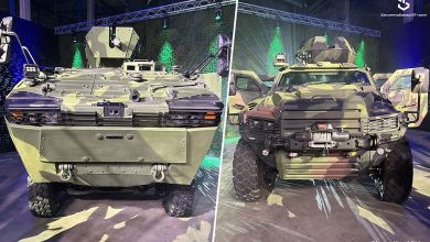 Estonya-Arma-ve-NMS