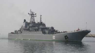 Ropucha Sınıfı Novocherkassk