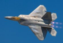 F-22 Raptor