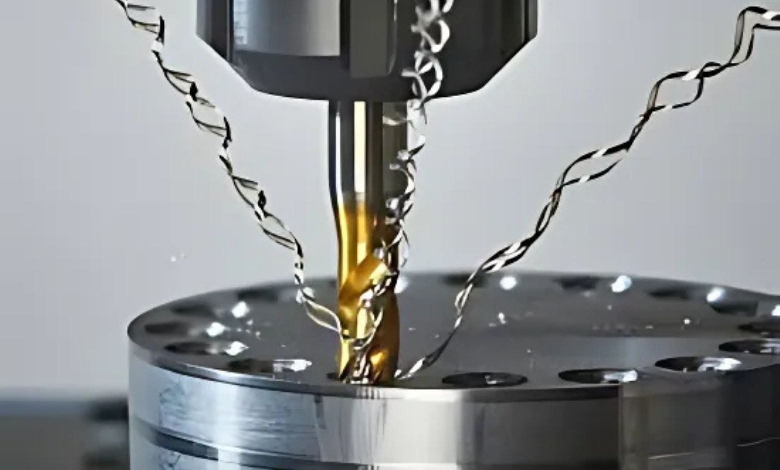 Vargus ürünlerinin ihracatçısı olarak öne çıkan Delta Legen Ltd