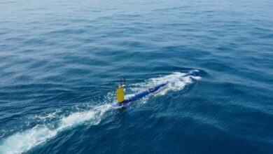 BlueWhale IAI