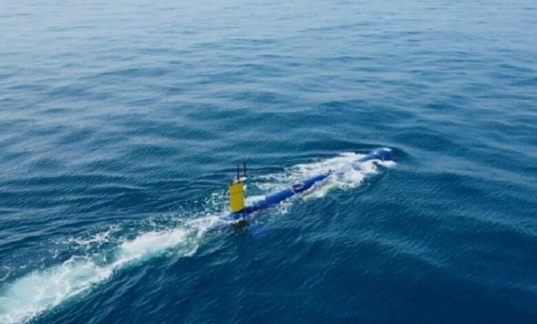BlueWhale IAI