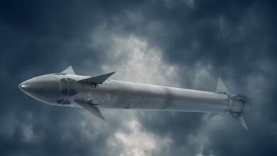 Hafif Çok Amaçlı Füze (Lightweight Multirole Missiles - LMM)