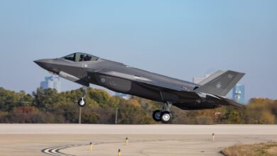 Finlandiya F-35