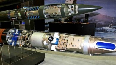 PAC-3 MSE ve THAAD füzelerinin diyagramı