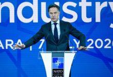 nato rutte