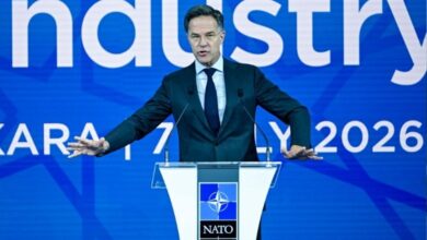 nato rutte