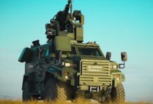 korkut 25